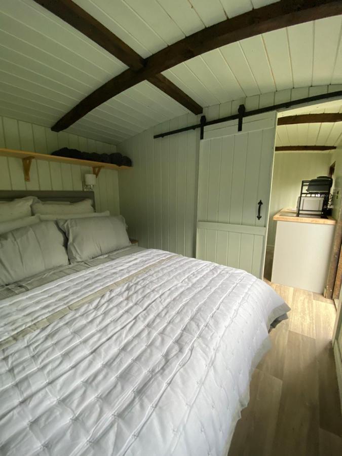 Cwtch Cadi Villa Llwyngwril Exteriör bild